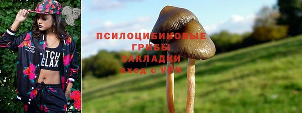 MESCALINE Болотное