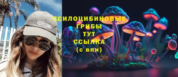 метадон Арсеньев