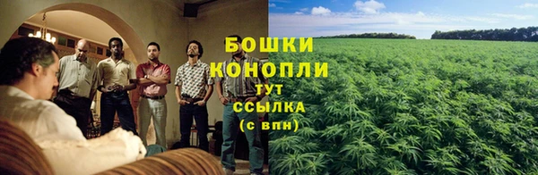 каннабис Валдай